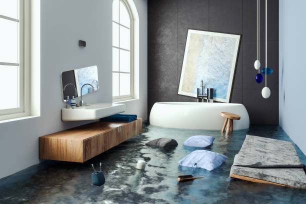Best Water damage cleanup near me  in Concordia, MO