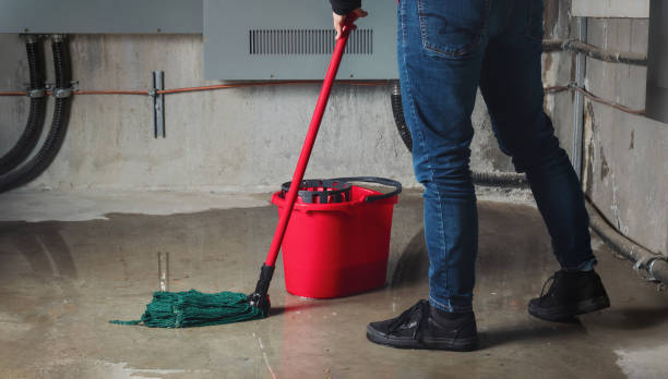 Best Professional water damage repair  in Concordia, MO