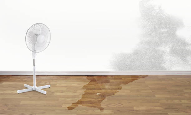 Best Fire Damage Restoration  in Concordia, MO
