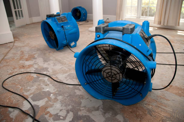 Best Water damage restoration near me  in Concordia, MO