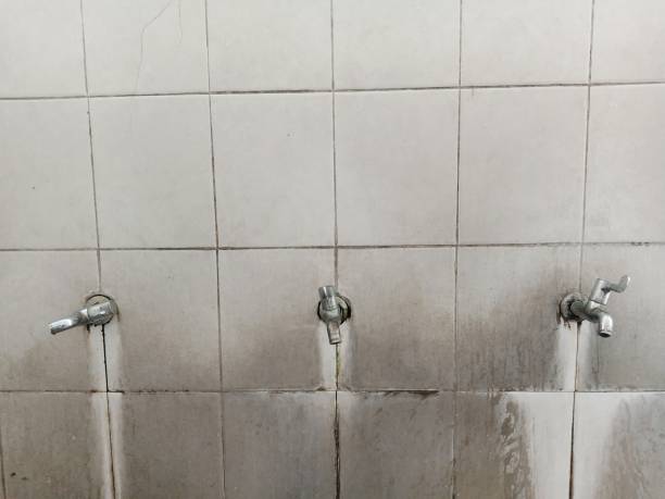 Reliable Concordia, MO Water damage restoration Solutions